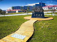 阜阳天华矿业集团