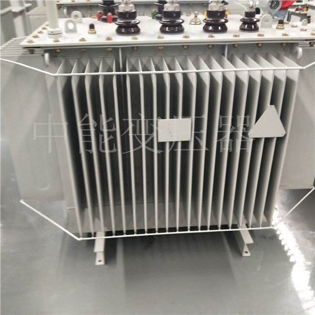 阜阳S20-800KVA变压器