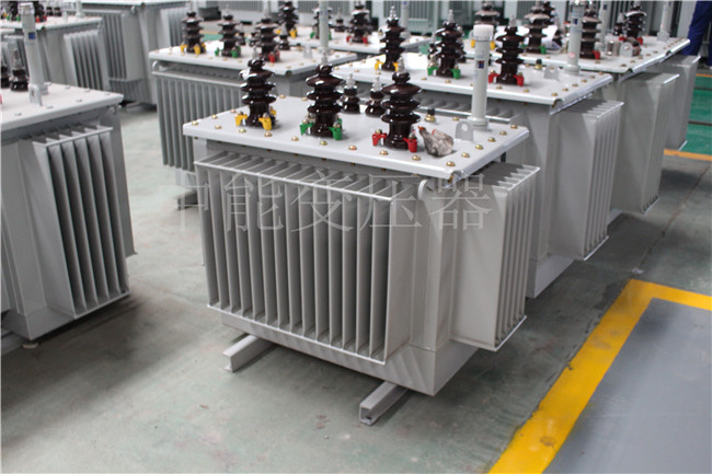 阜阳S22-100KVA/10KV/0.4KV变压器